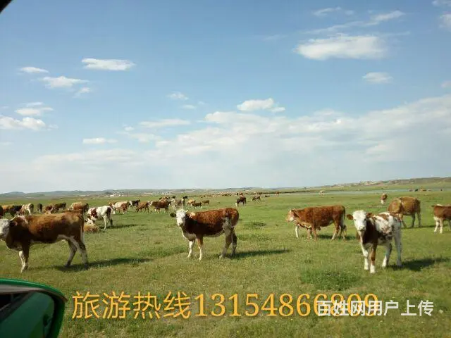 克旗旅游包车 - 图片 7
