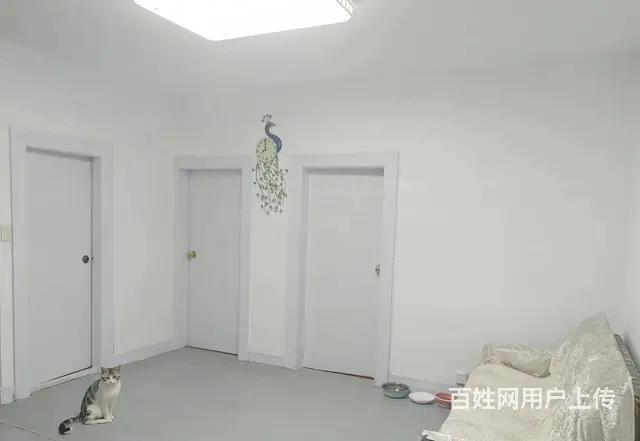 新鹤B区，2楼，暗厅，77.25平。23.8万，空学籍，满五 - 图片 4