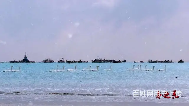 荣成樱花湖海世界 南北通透一线精装海景房，空气清新环境优雅 - 图片 12