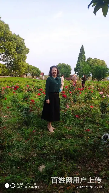 征婚 - 图片