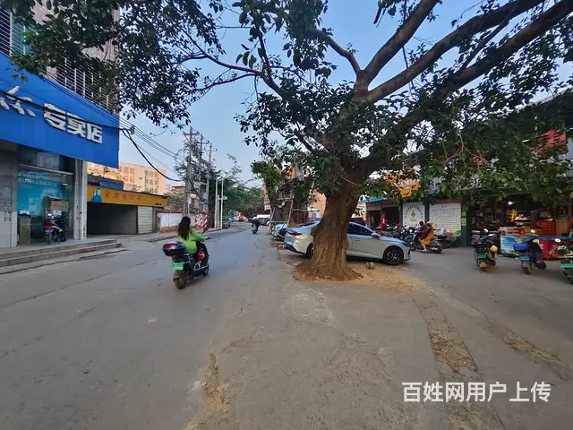 （51旺铺推荐）苍西村（飞凡茶艺馆）520平台球厅转让 - 图片 11
