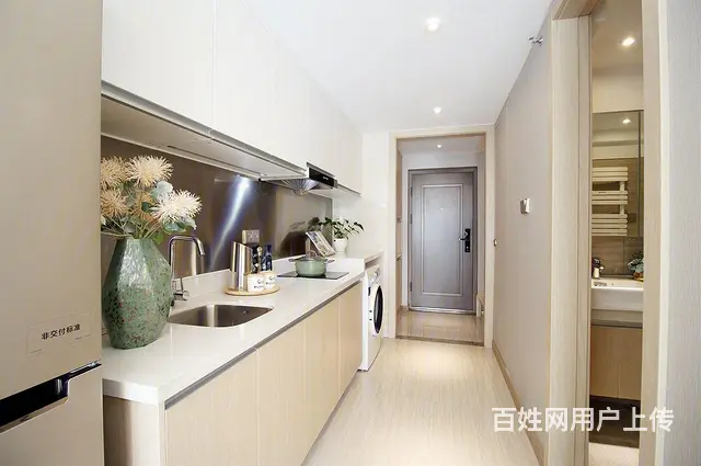 精装交付桃花湖旁地铁近在咫尺龙湖天街附近随时可看 - 图片 4