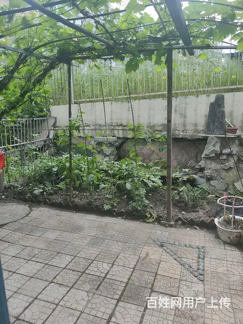 商住两用 - 图片 1