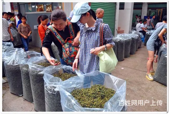 中国茶艺培训哪里好 - 图片 7