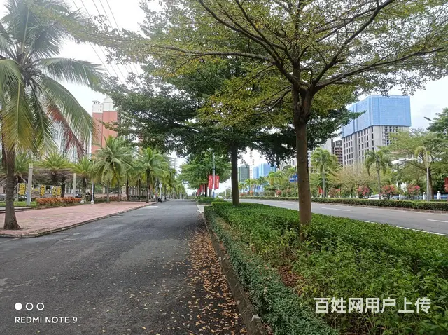 （51旺铺推荐）儋州市那大镇3000平整栋楼招租 - 图片 3