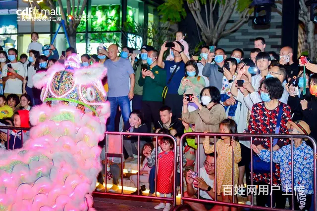 LED灯光醒狮表演团队，夜光醒狮表演，灯光舞狮表演 - 图片 5
