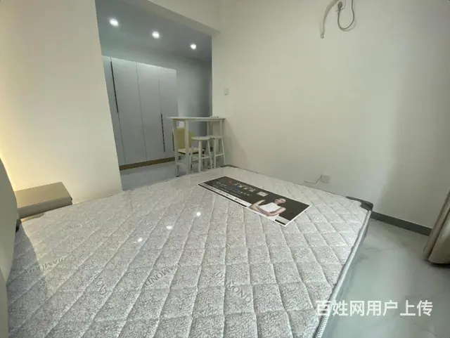 星河COCO植物园金融广场旁全新精装一室一厅带天然气押一付一 - 图片 4