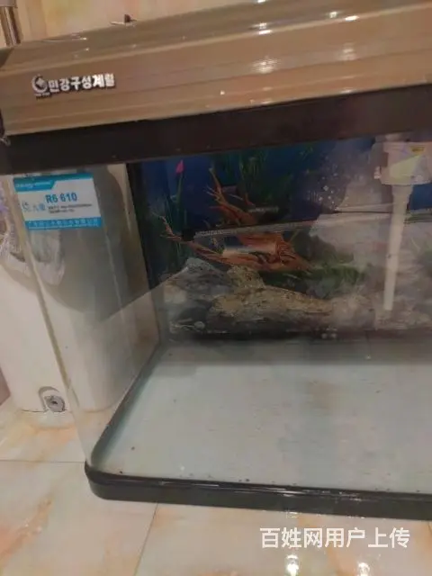 本人有个610鱼缸便宜卖了 - 图片 2