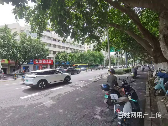 （51旺铺推荐）琼州大道320平铺面招租 - 图片 12