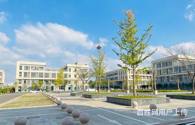 高新区厂房出租，配套齐全，各种补贴 - 图片 3