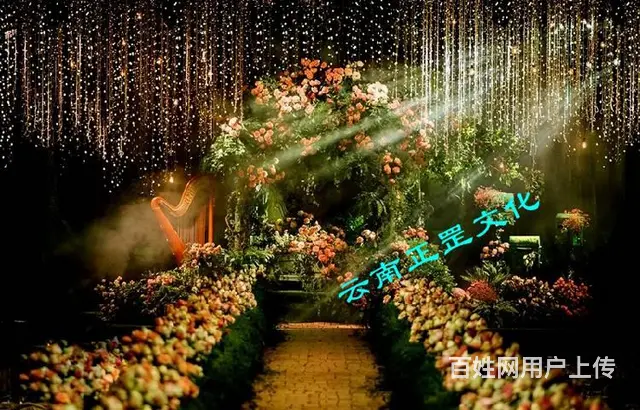 中西式婚礼策划、农村婚礼布置、灯光音响、演出表演 - 图片 10