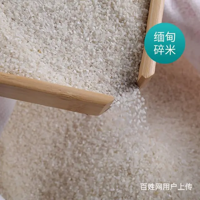 缅甸碎大米酿酒熬粥饲料五谷杂粮食品加工厂原料碎米 - 图片 2