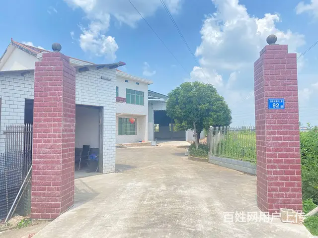 (房东直租)黄兴大道松雅湖530平新建厂房/仓库优价出租 - 图片 9