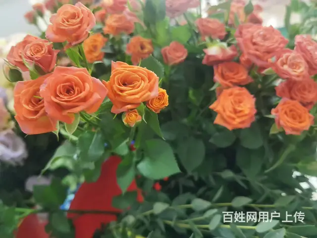 苏州花艺师前景怎么样？吴中哪里可以报名学习 - 图片 3
