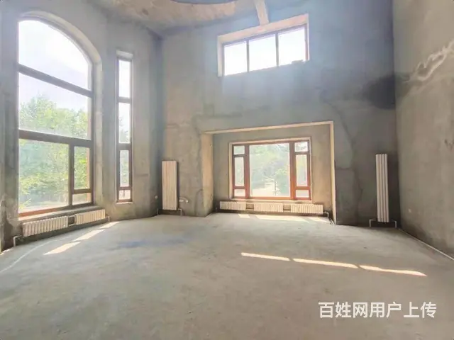 多套盛和天下300大院双拼墅三面采光700米双车库 - 图片 9