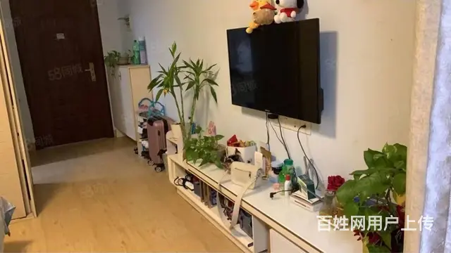 电梯船山大道金钟大雁城附近1室配套精装修家电齐全月租1100 - 图片 1