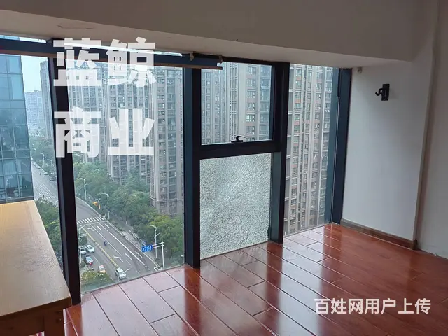 新城绿地蓝海120平复式 - 图片 9