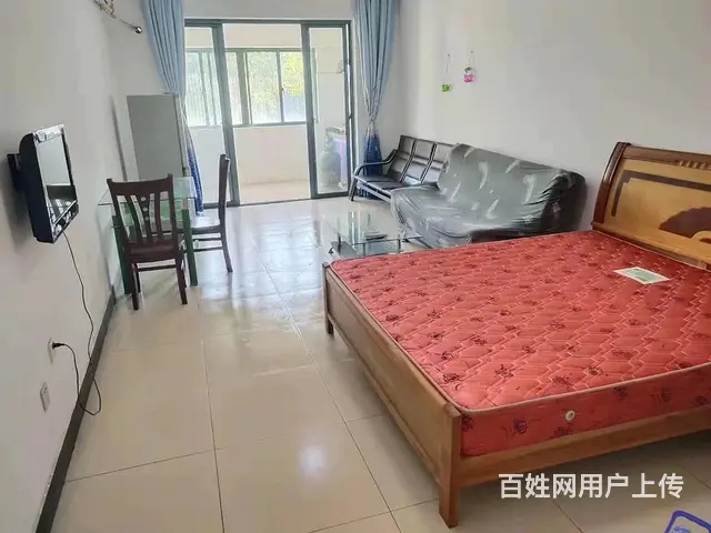 春天海景 公寓1厅 简单装修 - 图片 1