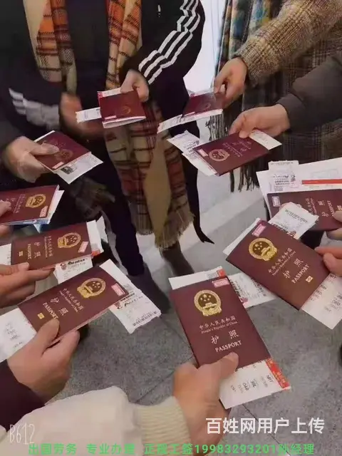 邢台出国劳务一手项目0费用雇主保签包吃住诚招代理 - 图片 2