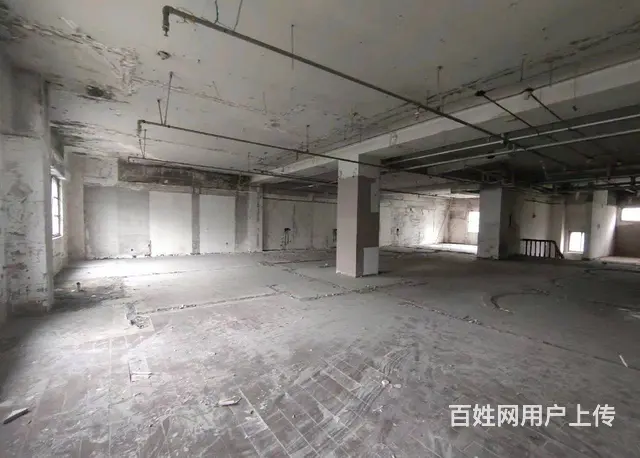 【搞定了！】道里区尚志大街哈一百商服门市出租房主直租 - 图片 4