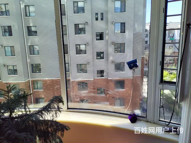 诚信家政 - 图片 3