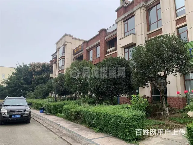 广汉向阳医药健康城400平 办公室租售 - 图片 2