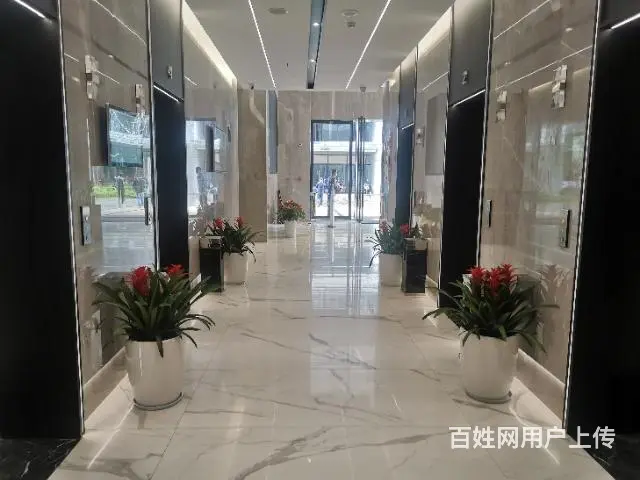 地铁口丨5A甲级写字楼丨豪华装修丨直租无中介费 - 图片 3