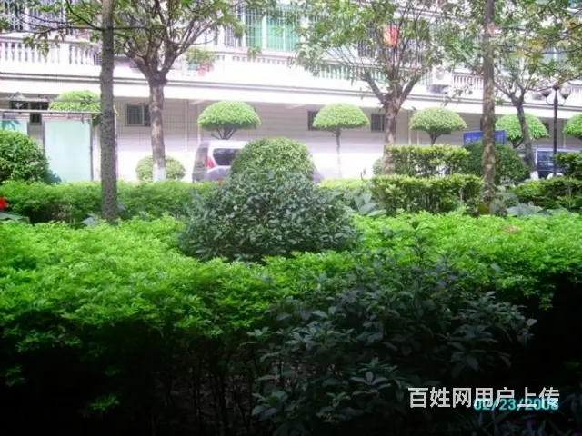 中人小区 南向 租这 她会不加思虑的爱你，就像男子 - 图片 12