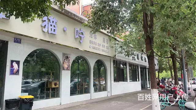（同城搜铺网）滨河路138平宠物店转让 - 图片 3