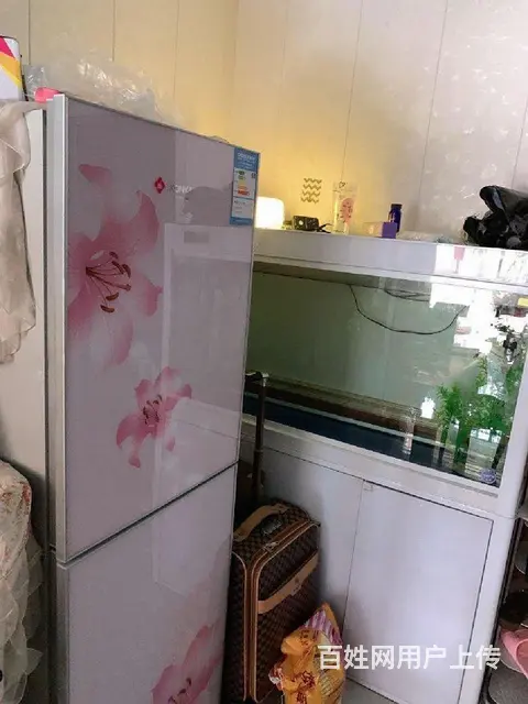 滨河名邸团结小学附近电梯房精装修干净舒适拎包入住 - 图片 3