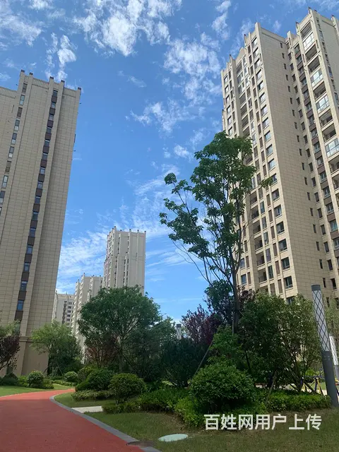 错过了南坊，别再错过南海 - 图片 6