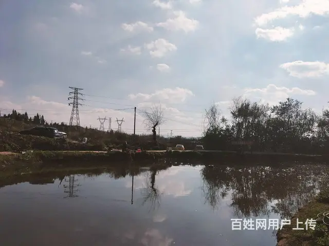 （51旺铺推荐）安宁5亩3个鱼塘转让 - 图片 8