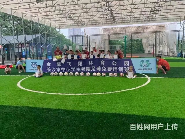 定制移动推拉雨棚伸缩式排挡遮阳蓬大型仓库物流户外电 - 图片 7