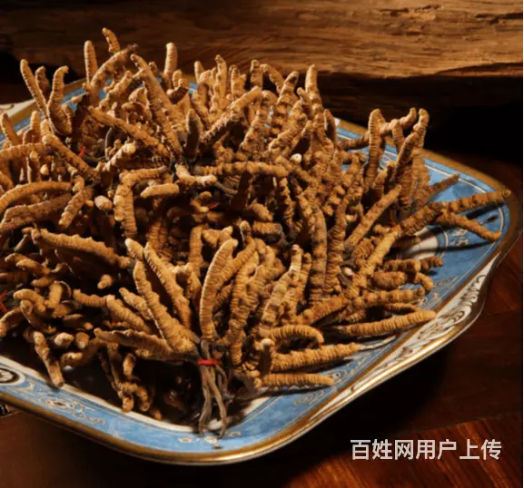 厦门湖里高价回收虫草电话回收价格多少 - 图片 3