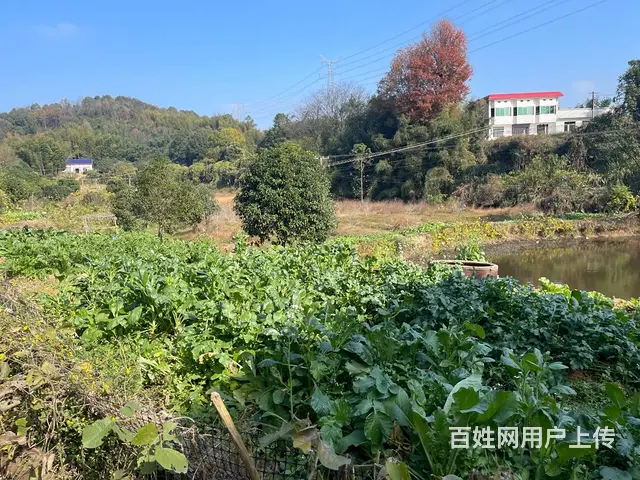 （老板本人）望城独门独院整栋房屋带鱼塘菜园出租  5738 - 图片 9