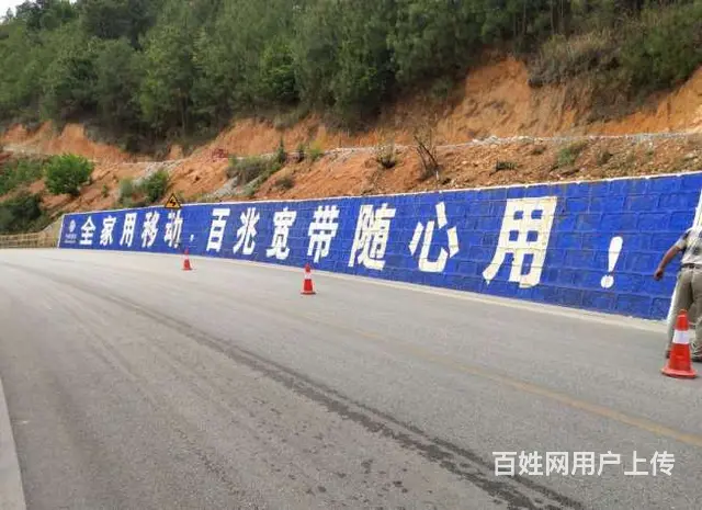 四川墙体广告,攀枝花墙体彩绘,青神县墙体户外广告 - 图片 2