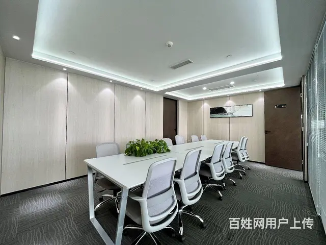 天际项目东方希望天祥广场精装写字楼出租随时看房 - 图片 9
