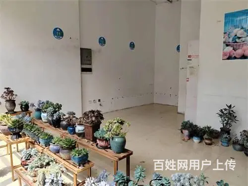 丰满区龙湾雅苑小区内门市出售 - 图片 6