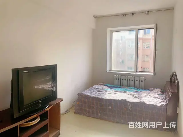 九洲松鹤4楼500两室一厅可以月租 - 图片 1