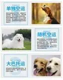 常州 宠物托运全国宠物托运 洛阳代办证件 - 图片 5