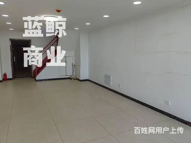 新城绿地蓝海100平复式 - 图片 3