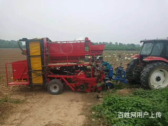 自动墩包土豆红薯联合收获机  挖掘输送除杂装包一体 - 图片 4