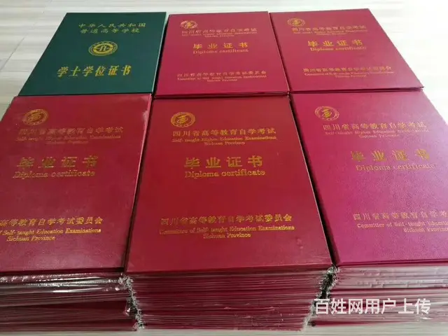 成都成人高起专-专升本·学历提升报名中心 - 图片 10