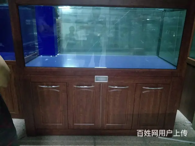 【鱼乐天下】清洗鱼缸，专业鱼缸养护，上门服务 - 图片 6