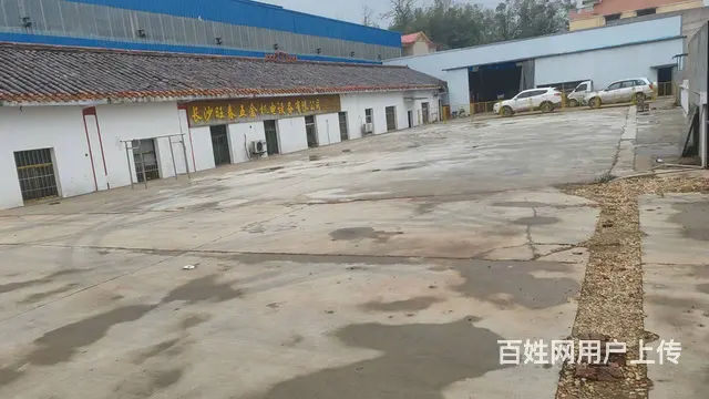 （老板本人）望城区独门独院厂房/仓库房东直租  6126 - 图片 3