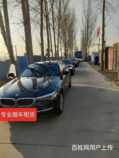 专业婚车租赁 - 图片 5