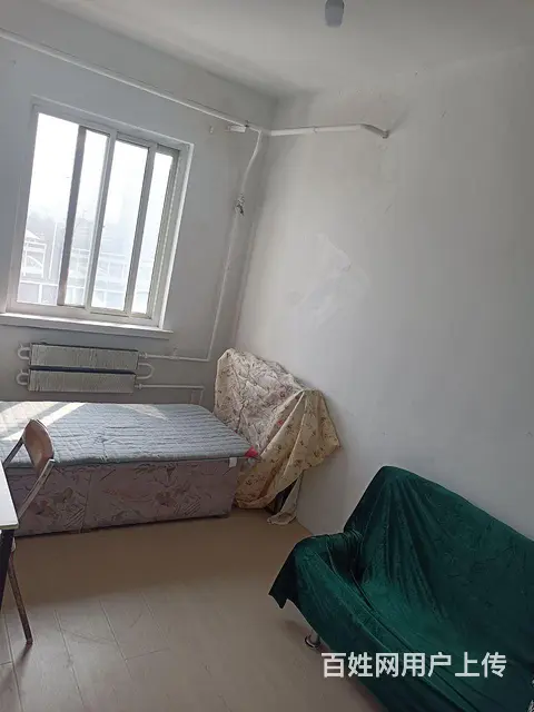 便宜出租或出售 - 图片 4