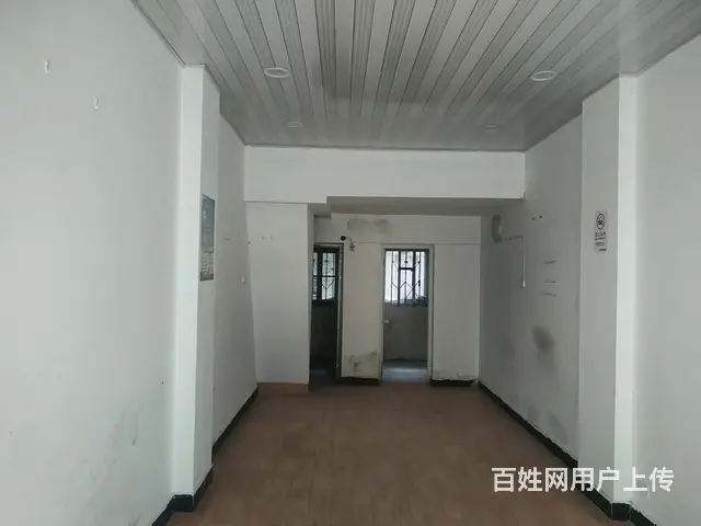 江夏体育馆公园旁临街旺铺 - 图片 7