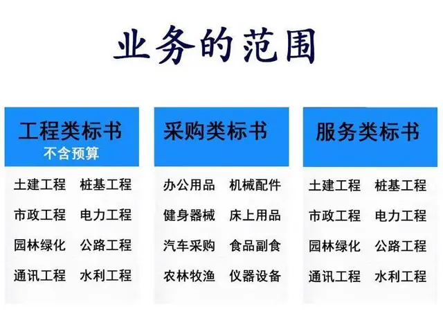 合肥标书代写公司安庆标书代写标书制作安徽合肥星弦 - 图片 4