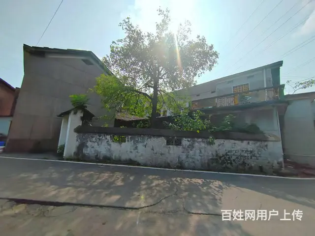 （老板本人）岳麓区王家湾附近整栋房屋/办公楼招租6954 - 图片 6